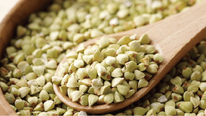 自社農園、産地地消の厳選素材 自社農園、産地地消の厳選素材